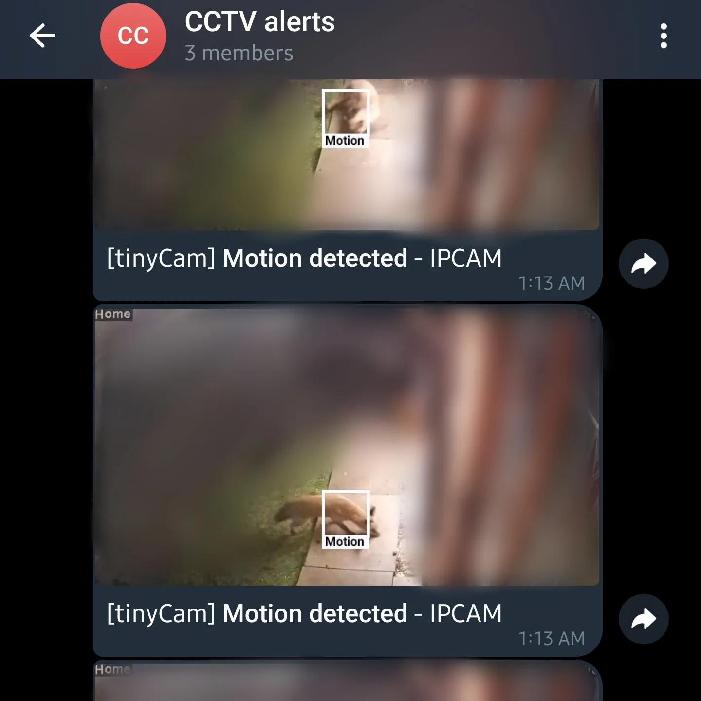 cctvtelegran